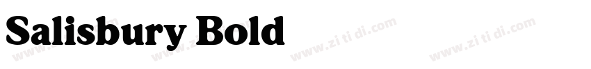 Salisbury Bold字体转换 Salisbury Bold字体转换